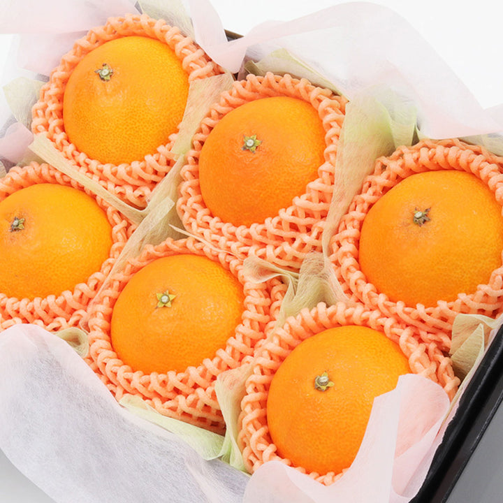 愛媛県産 紅まどんな 秀品 6玉 約1.5kg