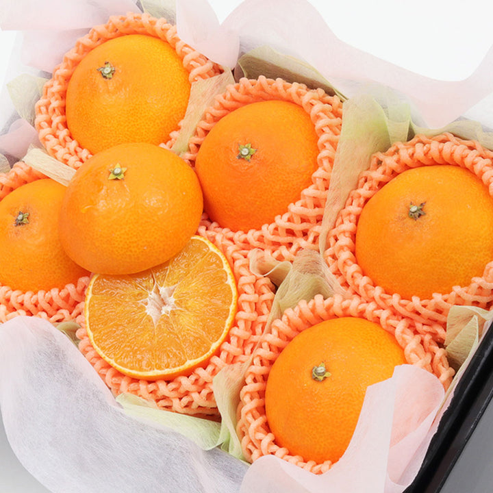 愛媛県産 紅まどんな 秀品 6玉 約1.5kg