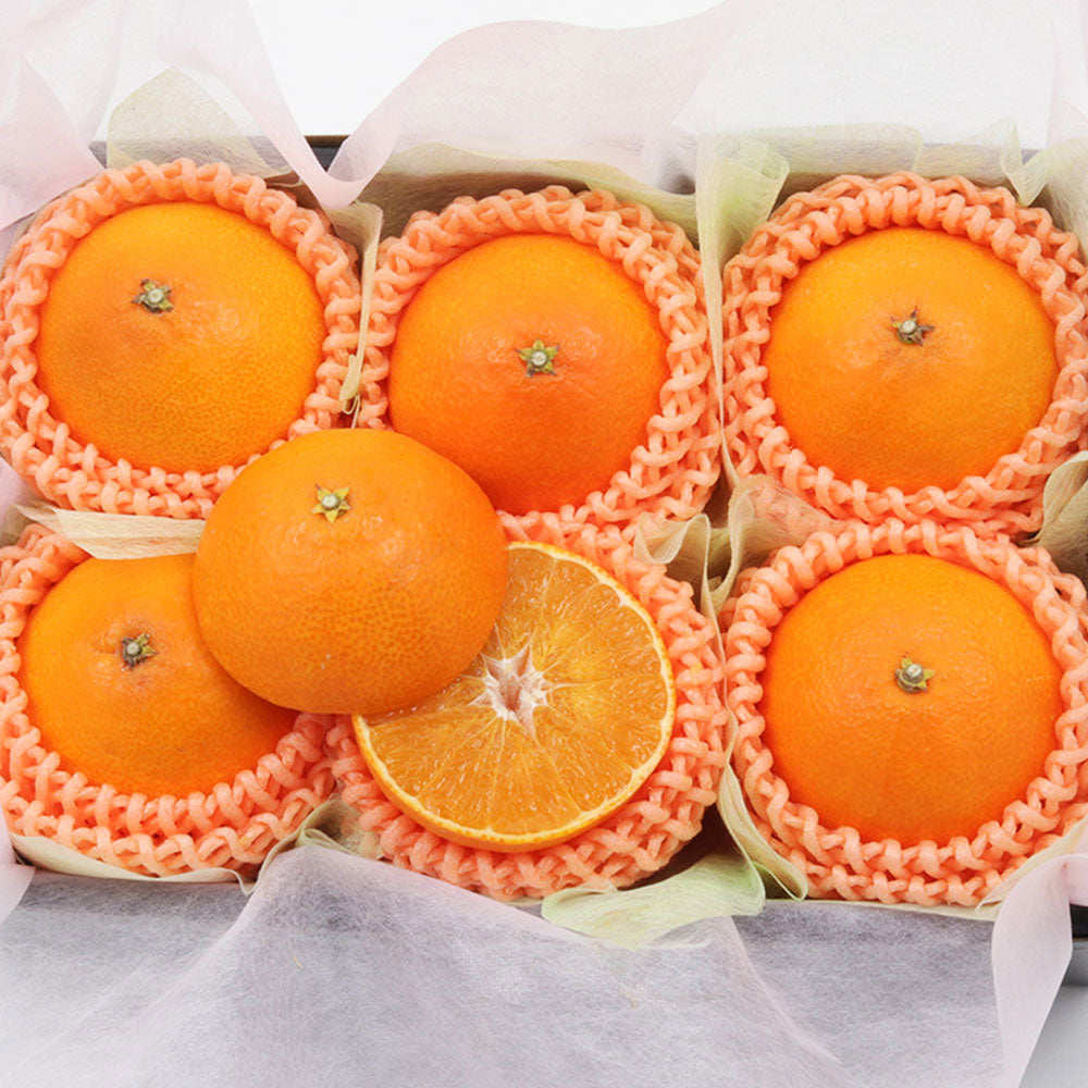 愛媛県産 紅まどんな 秀品 6玉 約1.5kg