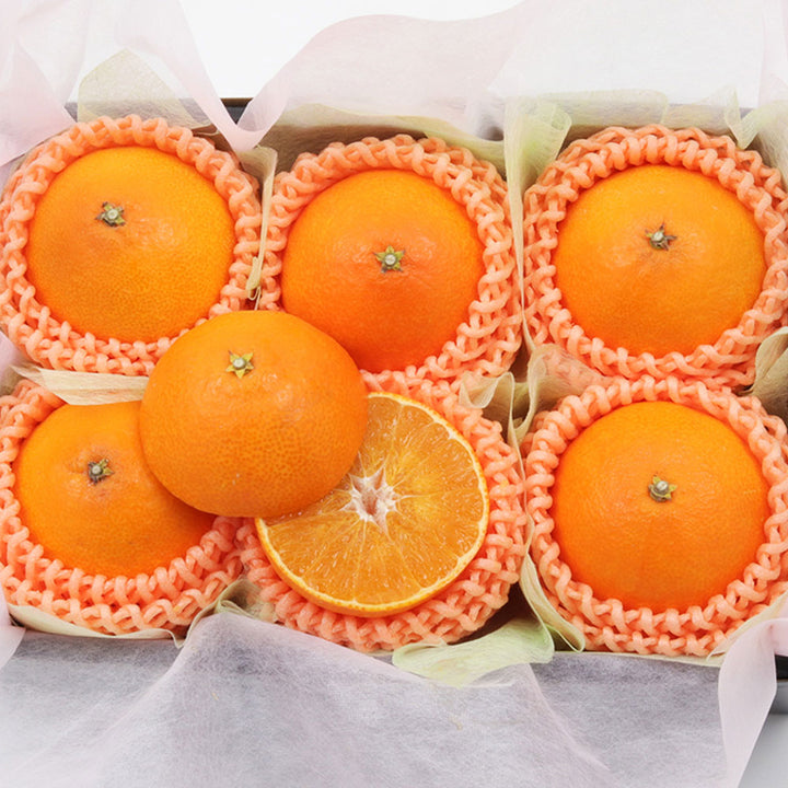 愛媛県産 紅まどんな 秀品 6玉 約1.5kg