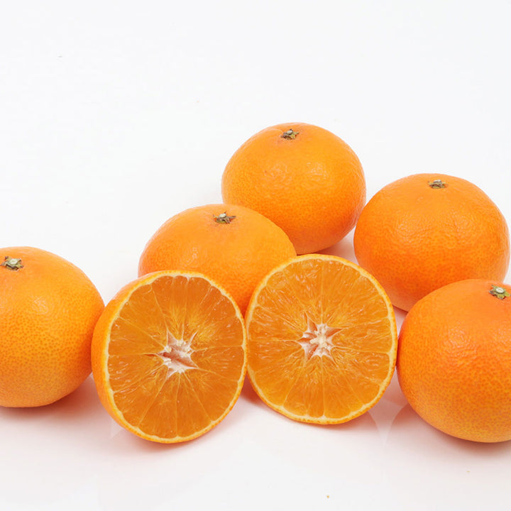 愛媛県産 紅まどんな 秀品 6玉 約1.5kg