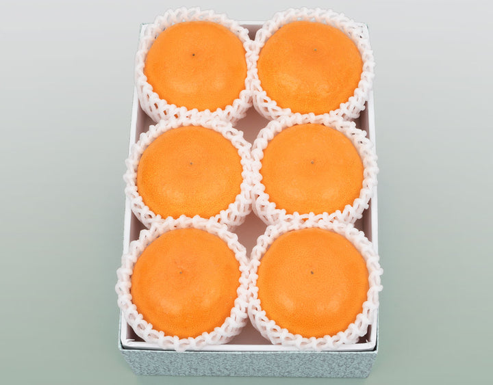 愛媛県産 せとか 秀品 化粧箱 6玉