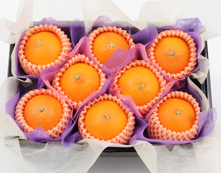 愛媛県産 紅まどんな 秀品8玉 約1.6kg