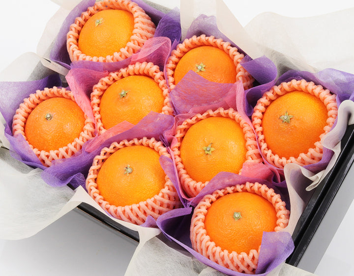 愛媛県産 紅まどんな 秀品8玉 約1.6kg