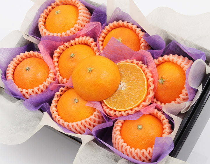 愛媛県産 紅まどんな 秀品8玉 約1.6kg