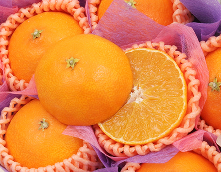 愛媛県産 紅まどんな 秀品8玉 約1.6kg