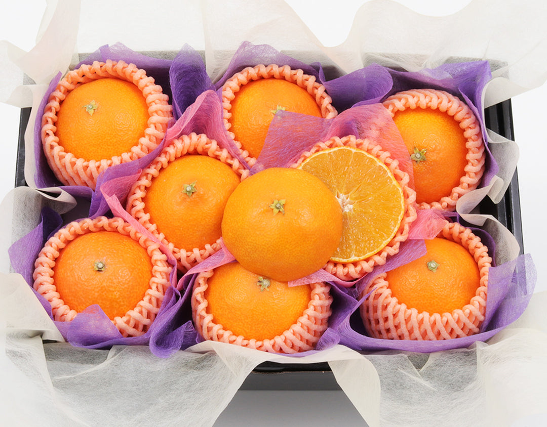 愛媛県産 紅まどんな 秀品8玉 約1.6kg