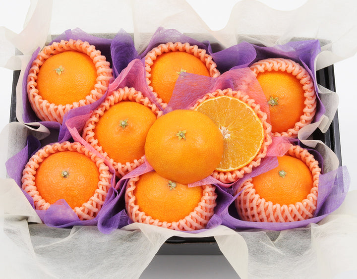 愛媛県産 紅まどんな 秀品8玉 約1.6kg