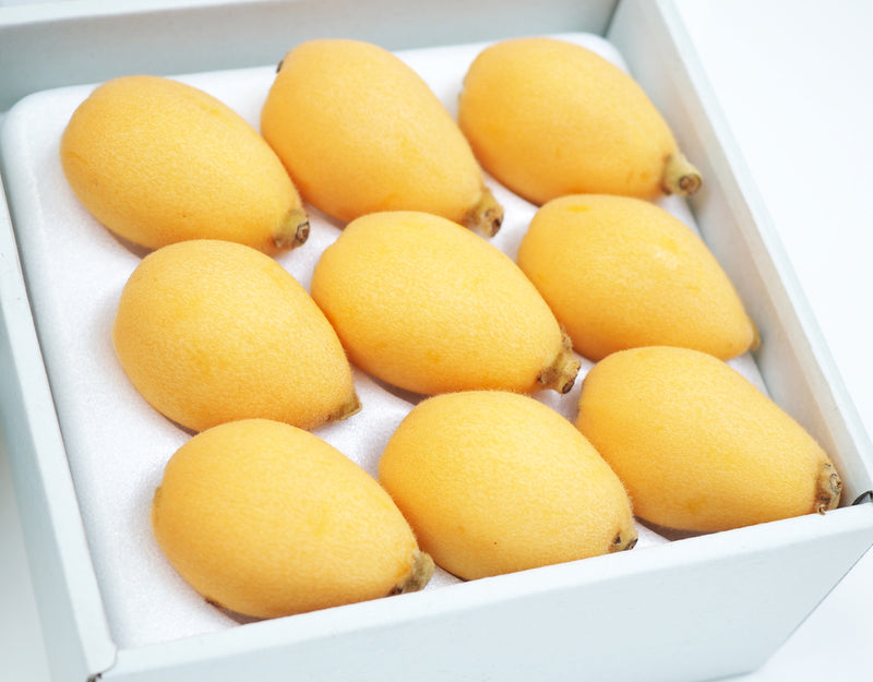 宮崎マンゴー と びわ のフルーツ二段重