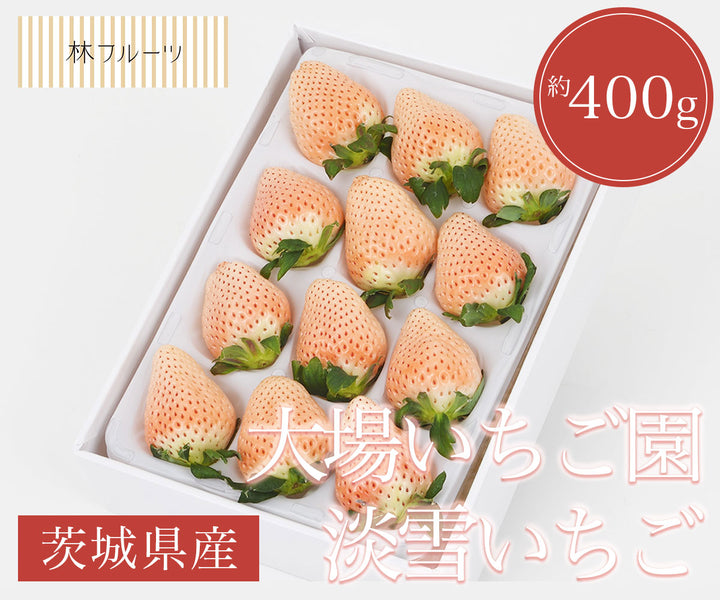 茨城県産 大場いちご園 淡雪いちご 約400g