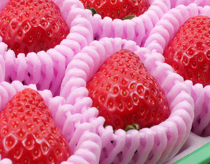 埼玉県産 べにたま苺  詰合せ 10粒