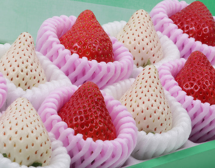 紅白いちごの食べ比べ