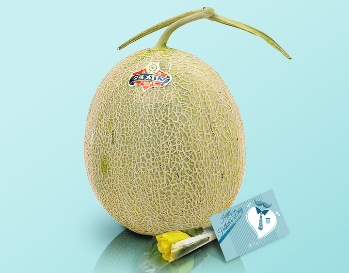 【父の日企画】 北海道産 夕張メロン 1玉 （約1.3kg)