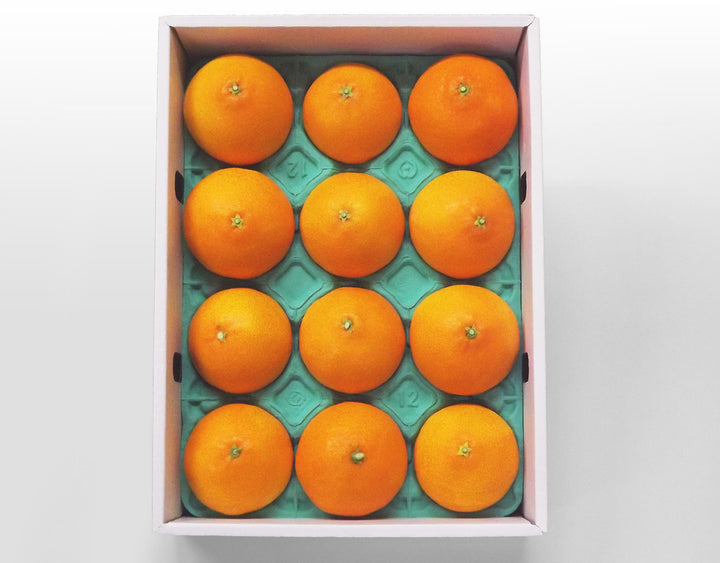 愛媛県JAえひめ中央 紅まどんな 秀品 10玉~12玉 約3kg