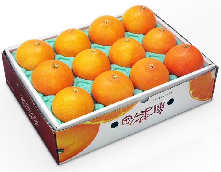 愛媛県JAえひめ中央 紅まどんな 秀品 10玉~12玉 約3kg