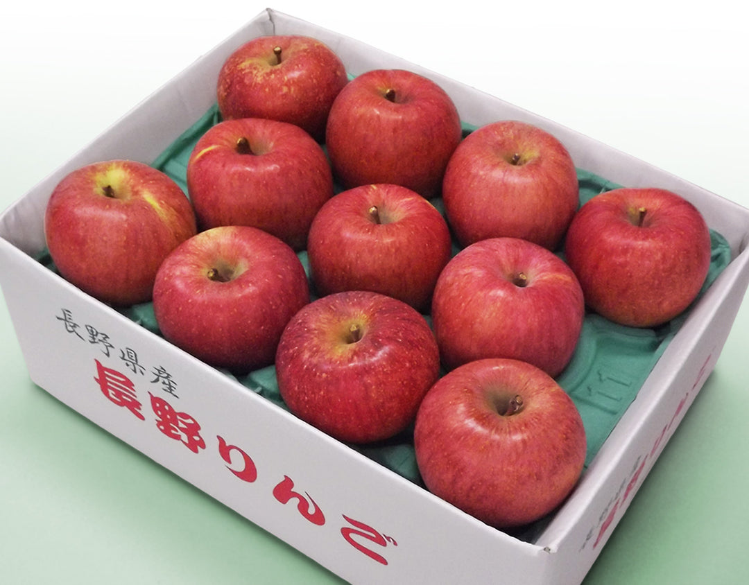 【お歳暮企画】長野県産 サンふじりんご 約2.8kg