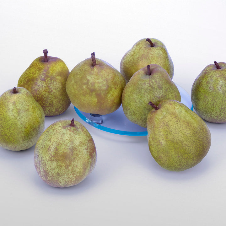 山形県産 ラ・フランス 特秀品 8玉