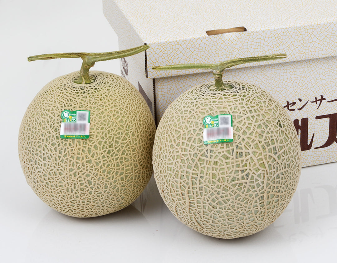 茨城県産 アールスメロン 2玉