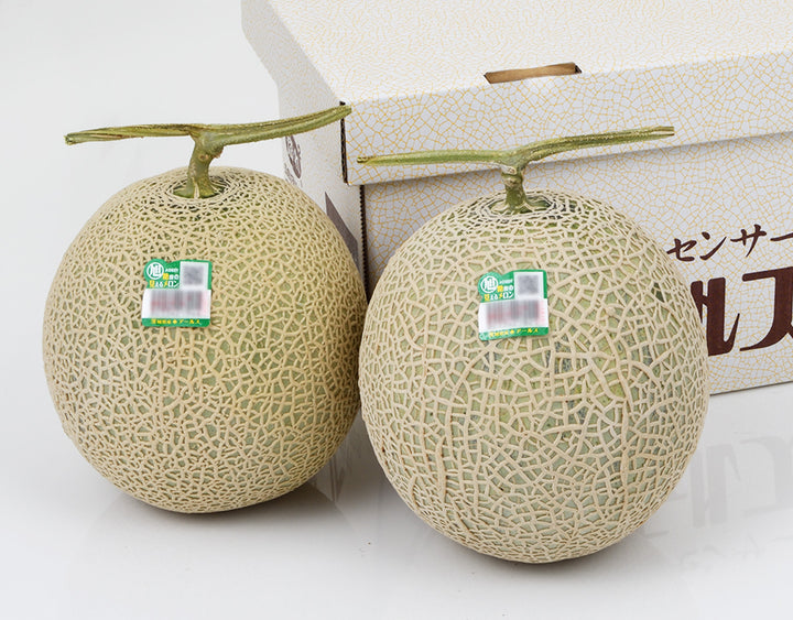 茨城県産 アールスメロン 2玉
