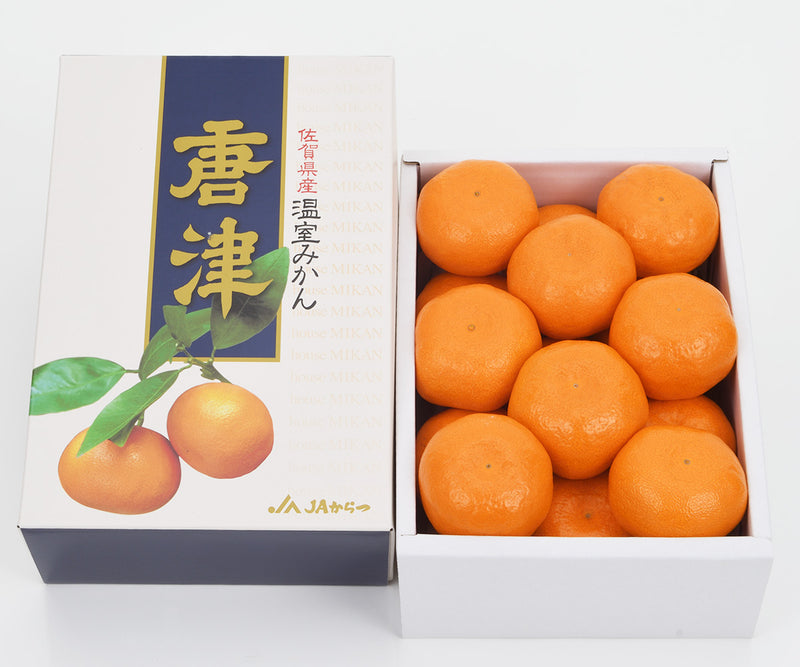 【お中元企画】佐賀ハウスみかん 約1.8kg