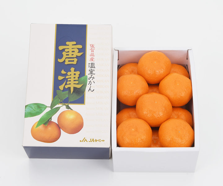 佐賀ハウスみかん 約1kg