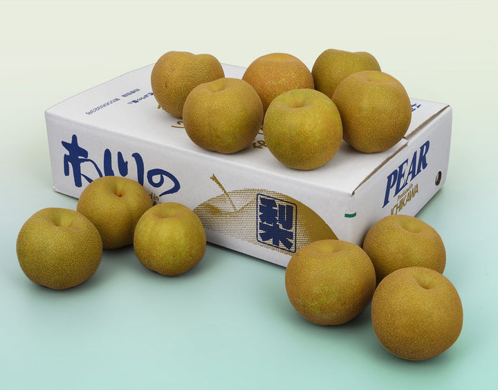市川の梨 幸水梨 秀品 18玉～20玉 約5kg