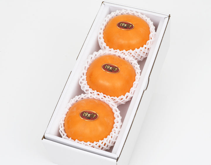 鳥取県産 輝太郎柿 赤秀品 3玉 (約900g)