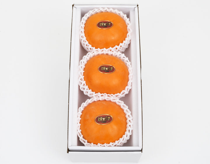 鳥取県産 輝太郎柿 赤秀品 3玉 (約900g)
