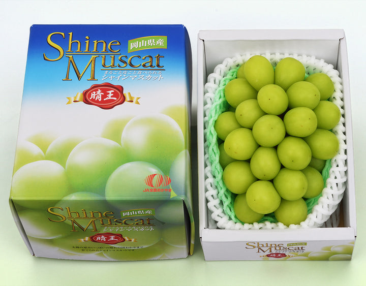 岡山県産 シャインマスカット 晴王 化粧箱 約700g