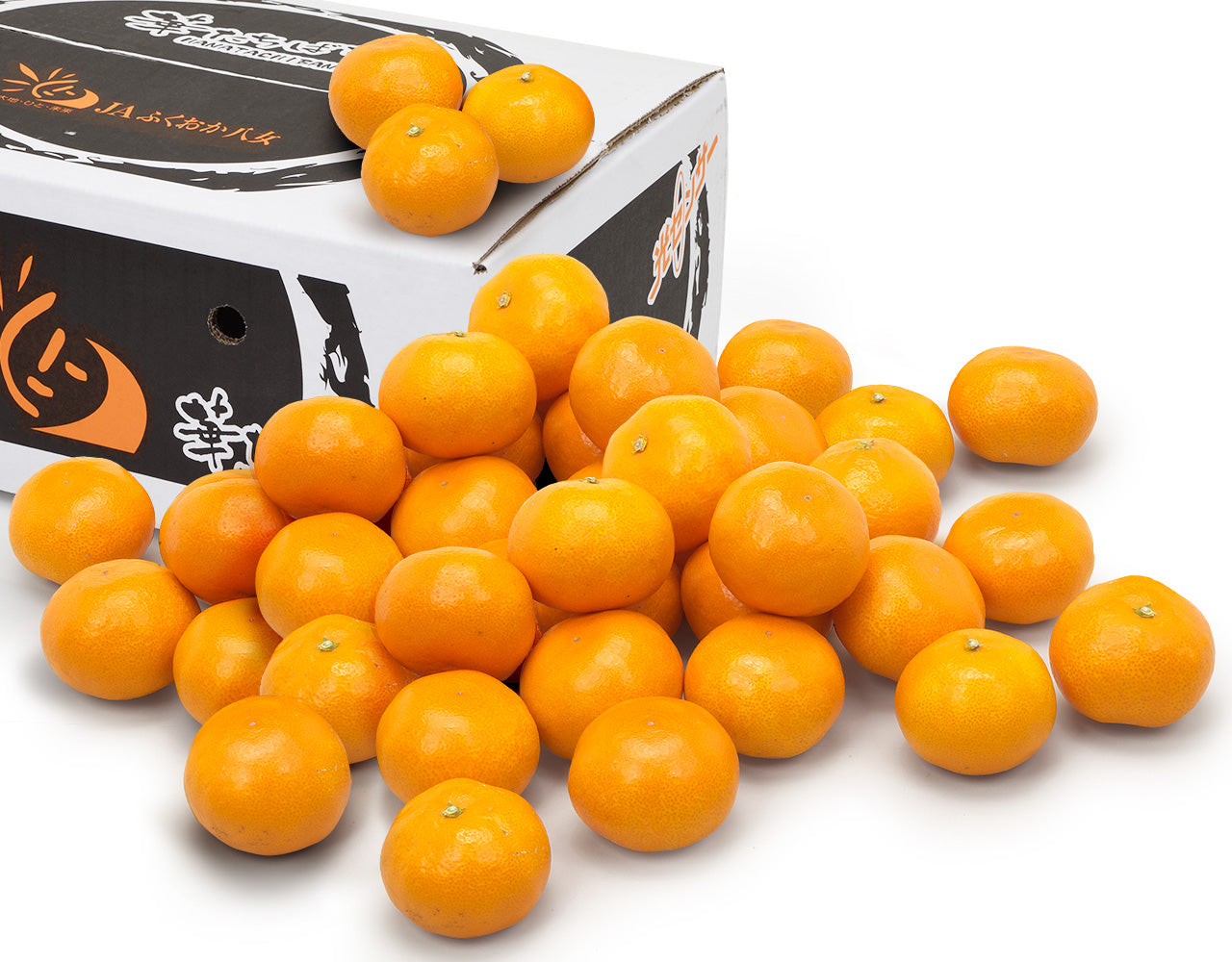 お歳暮企画】福岡県産 華たちばなみかん 約4.8kg – ハヤシフルーツ