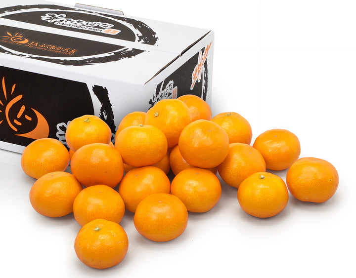 【お歳暮企画】福岡県産 華たちばなみかん 約2.8kg