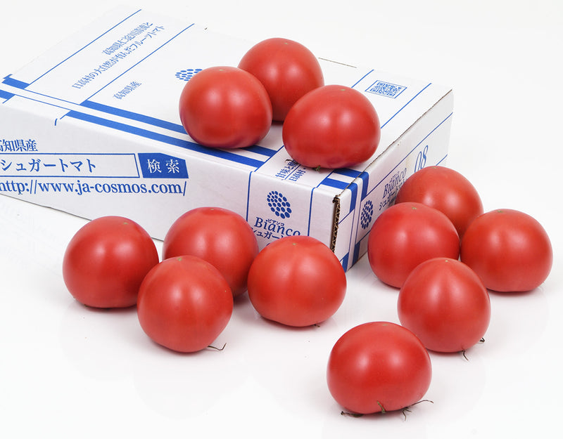 高知県産 シュガートマト 約1kg