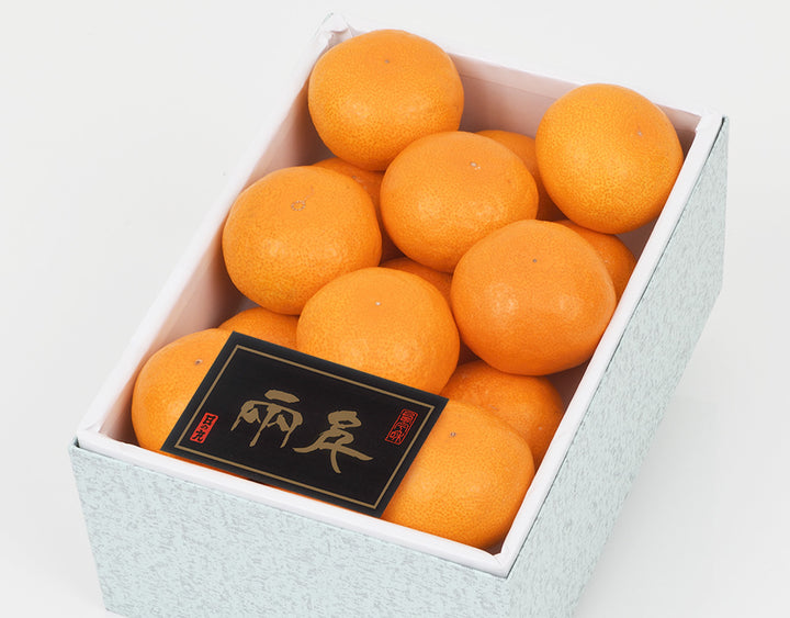 愛媛県産 日の丸みかん Mサイズ 化粧箱 15玉