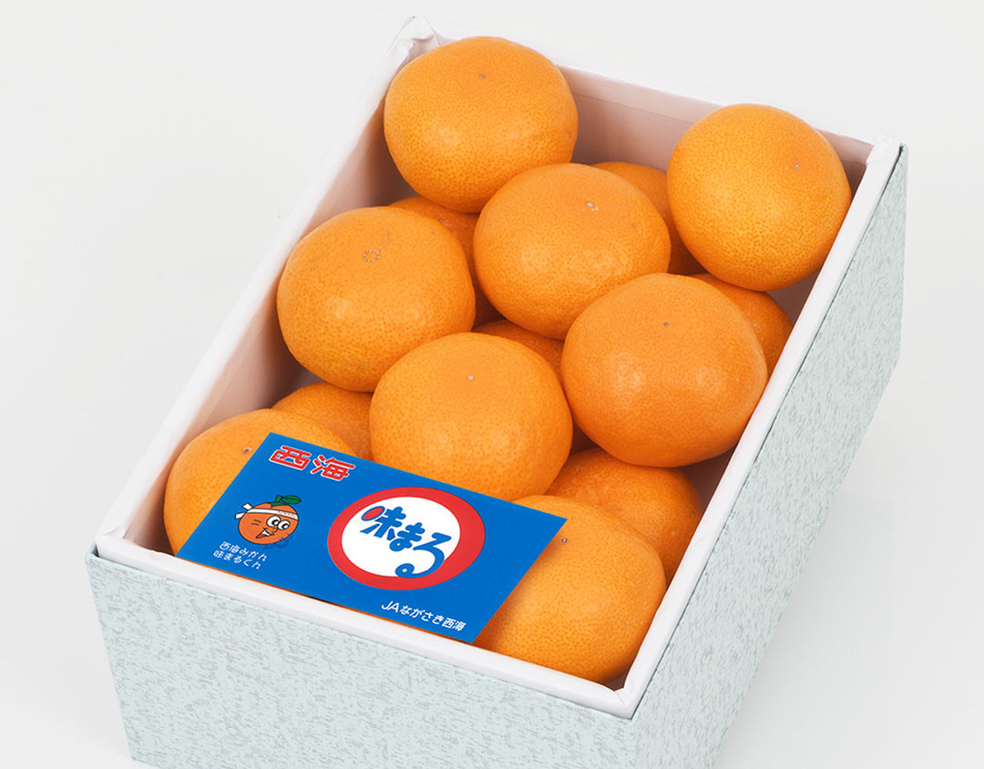 長崎県産 味まるみかん Mサイズ 化粧箱 15玉 約1.5kg