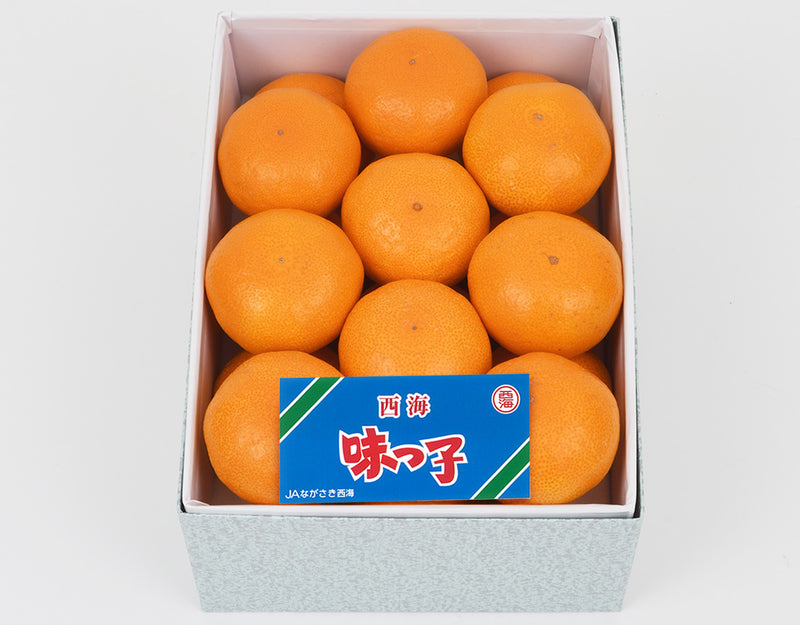 長崎県産 味っ子みかん Sサイズ 化粧箱 18玉 約1.4kg