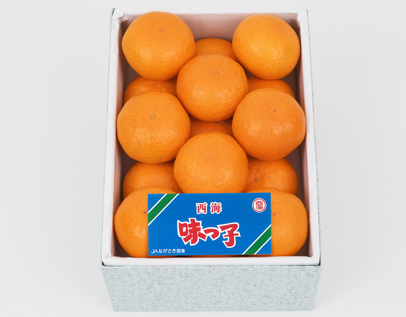 長崎県産 味っ子みかん Mサイズ 化粧箱 15玉 約1.5kg