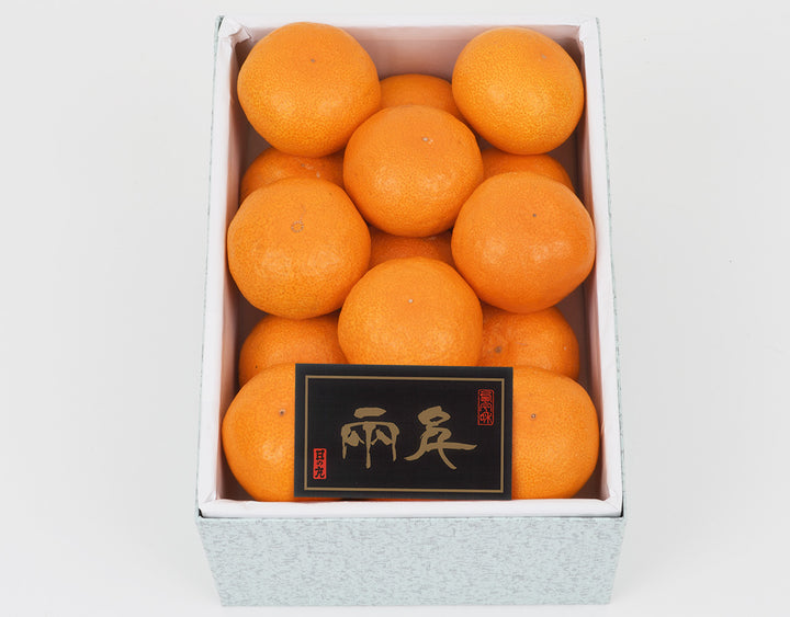 愛媛県産 日の丸みかん Mサイズ 化粧箱 15玉