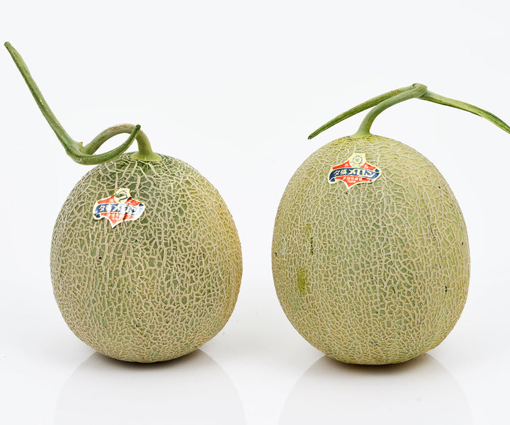 北海道産 夕張メロン 2玉 (約2.4kg)【お中元企画】