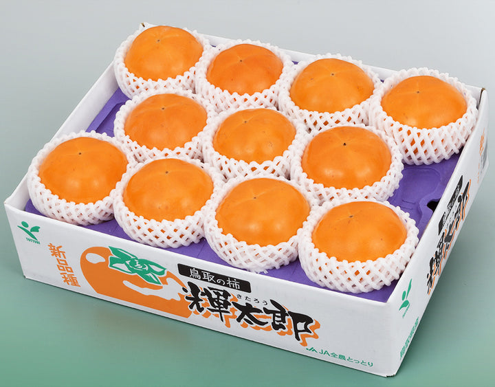 鳥取県産 輝太郎柿 秀品 7玉～14玉 (約3kg)