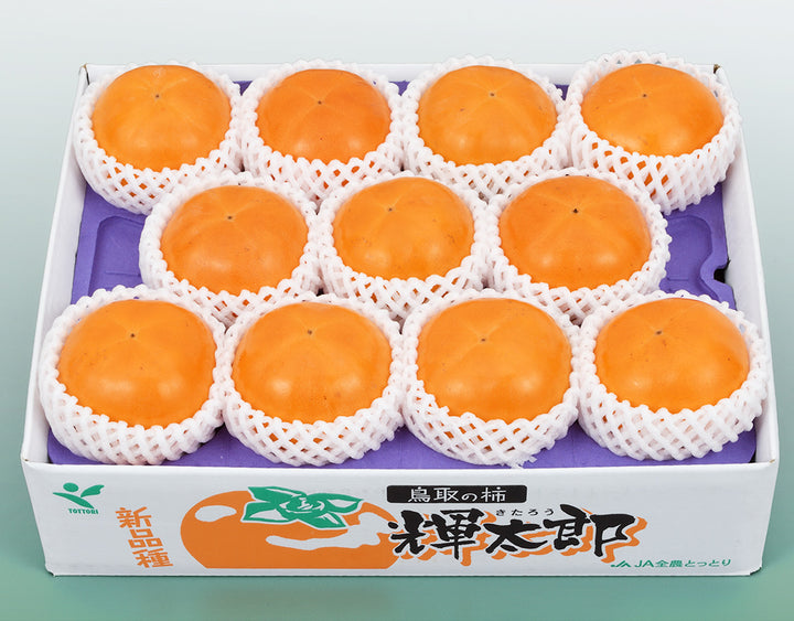 鳥取県産 輝太郎柿 秀品 7玉～14玉 (約3kg)