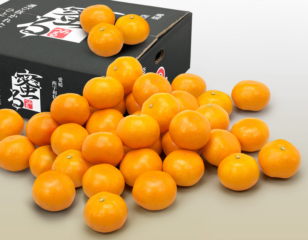 愛媛県産 蜜るみかん 特秀品 約4kg