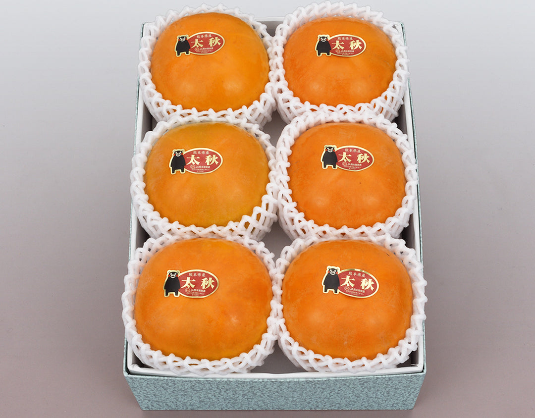 熊本県産 太秋柿 秀品 6玉