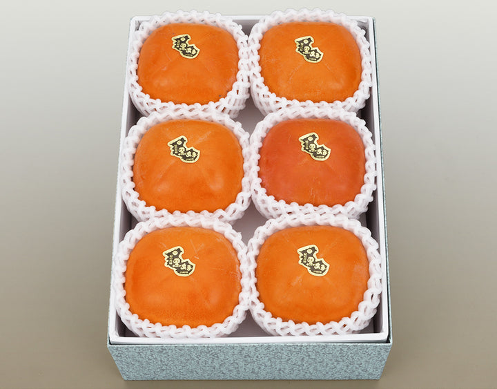 和歌山県産 紀の川柿 赤秀品 6玉