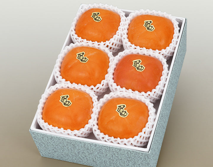 和歌山県産 紀の川柿 赤秀品 6玉