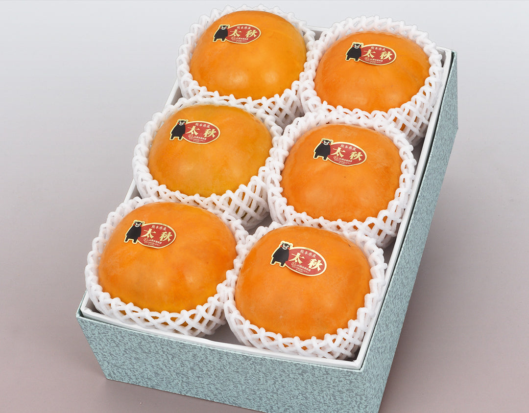熊本県産 太秋柿 秀品 6玉