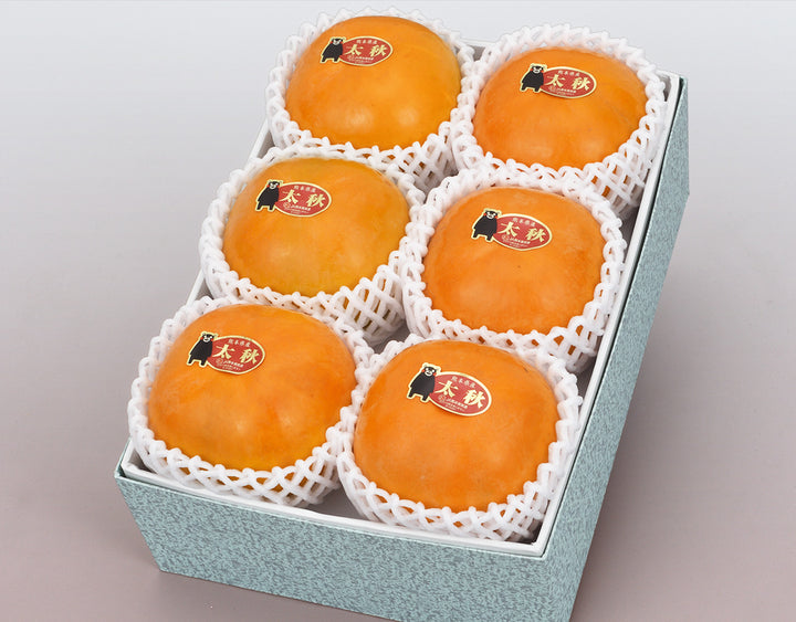 熊本県産 太秋柿 秀品 6玉