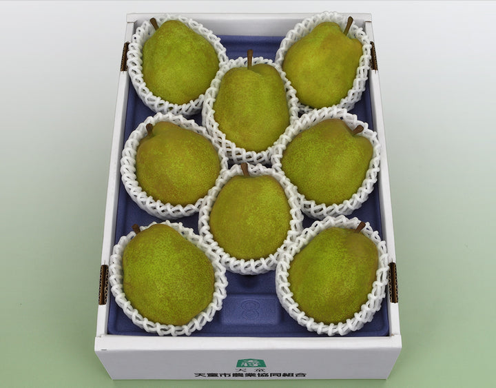 【お歳暮企画】山形県産 ラ・フランス 8玉 (約2.5kg)