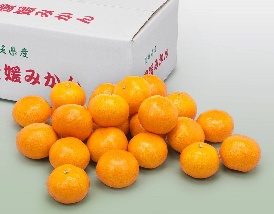 【お歳暮企画】愛媛県産 みかん 約2.5kg