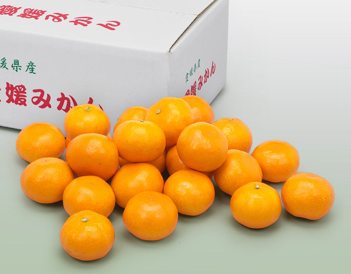 【お歳暮企画】愛媛県産 みかん 約2.5kg