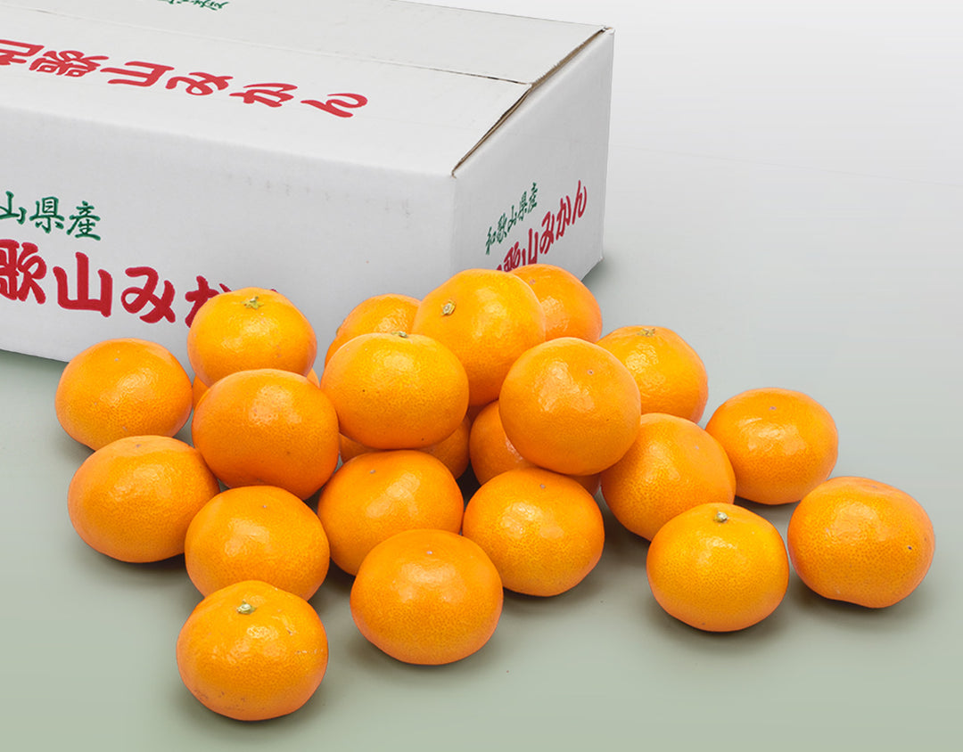 【お歳暮企画】和歌山県産 みかん 約2.5kg